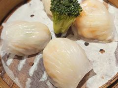 -大树餐厅(红旗街万达店)