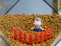 -现代汽车文化中心 Hyundai Motorstudio Beijing