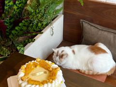 -B.O.M波姆烘焙(凤凰街店)