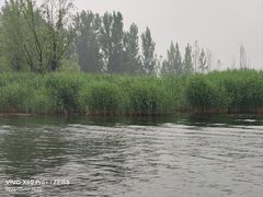 -白洋淀景区