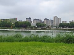 -河北省园博园