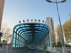 -胶州湾海底隧道