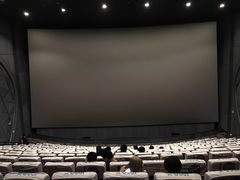 -飞扬影城(正佳IMAX店)