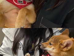 -逗柴咖啡屋·狗咖猫咖宠物桌游