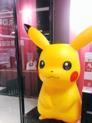 -学舞岛·成人少儿舞蹈培训