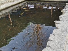 -京北渔家傲