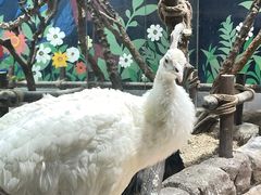 -海合安青岛极地海洋公园