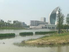 -南汇新城城市公园