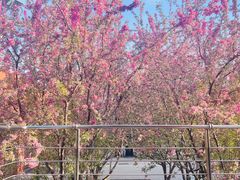 -新奥购物中心
