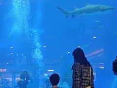 -成都浩海立方海洋公园