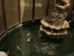 -裕丰源滋补烩面(天赋路店)
