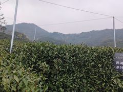 -十里琅珰