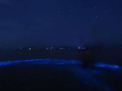 -坛南湾阿强农家乐.海鲜大排档老字号(福州地标美食店)