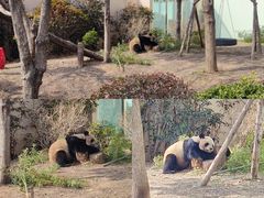 -青岛动物园