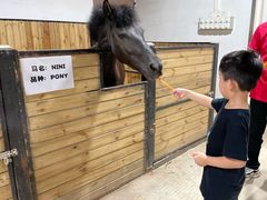 -李振强马术运动推广中心(南城店)