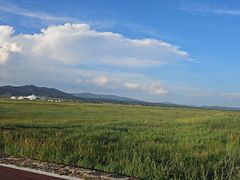 -敕勒川草原
