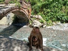 -西岭雪山大飞水景区