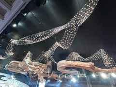 -苏州太湖国际会议中心