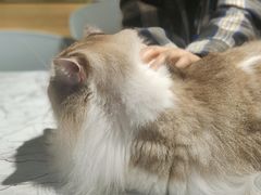 -听TA说宠咖·宠物生活馆(天韵水岸店)