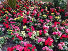 -北京植物园-展览温室