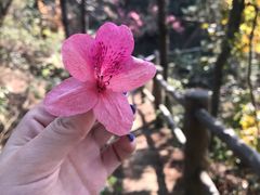 -木兰云雾山