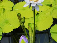 -国家植物园南园