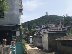 -南丫岛