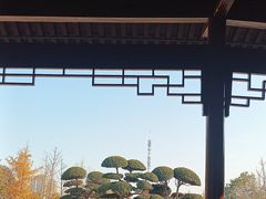 -金银湖国家城市湿地公园
