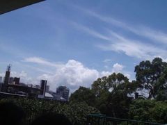 -香港大学