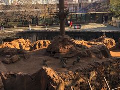 -昆明动物园