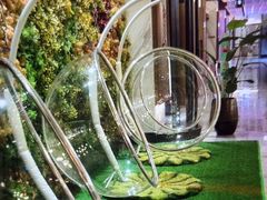 -青水瓦台汤泉(未央店)