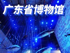 -广东省博物馆