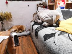 -About Bistro關於·泰式家庭料理