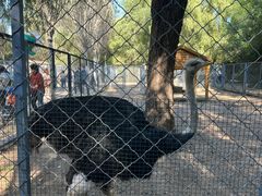 -长白岛森林公园