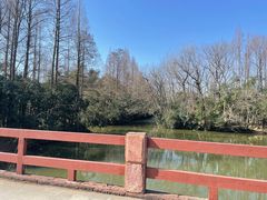 -上海滨江森林公园
