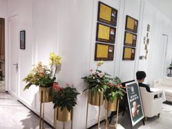 -广东韩妃整形外科医院