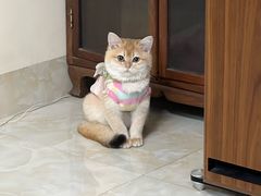 -芭比堂动物医院广州顽皮分院