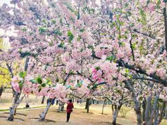 -元大都城垣遗址公园