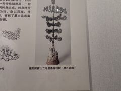 -四川宋瓷博物馆