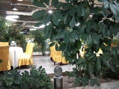 -红栌温泉山庄生态美食餐厅