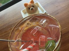 -柴犬高等学院·狗咖·柴犬售卖·宠物训练