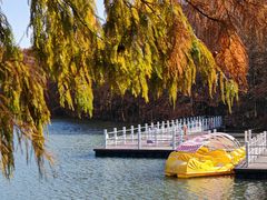 -上海海湾国家森林公园