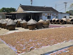 -苏州市吴中区光福窑上花果蜜饯厂