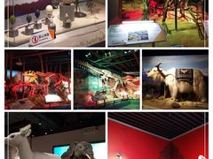 -正佳自然科学博物馆