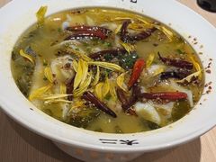 -太二酸菜鱼(中庚漫游城店)