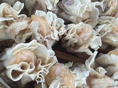 -白记饺子馆多伦道店