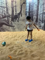 -恐龙探索乐园(磁器口店)