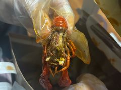 -江味龙虾馆·裸蓝龙虾(南山店)