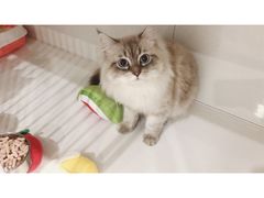 -萌兽医馆·眼科·异宠专科(三里屯店)