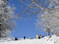 -金象山滑雪场